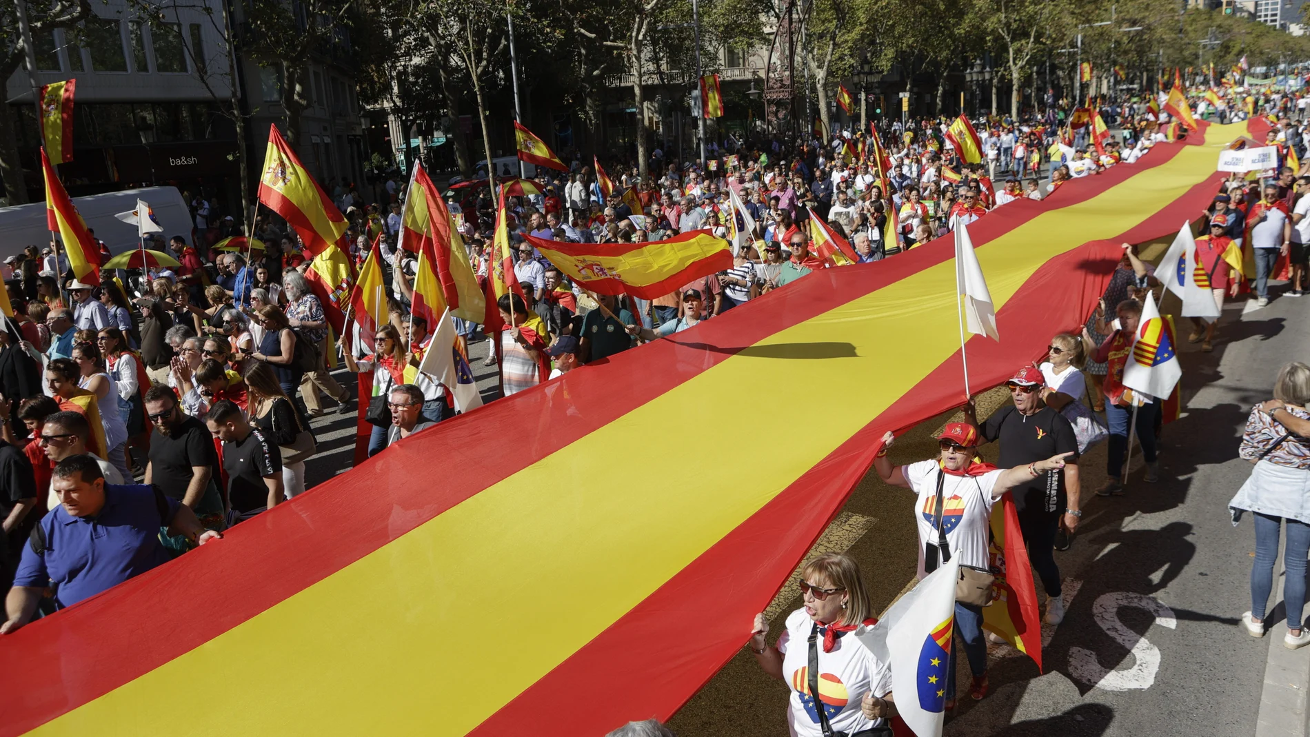 Varios asistentes despliegan una bandera nacional mientras participan en la manifestación de Cataluña 
