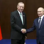  Putin propone a Erdogan crear un centro de distribución de gas