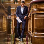 Comparecencia del presidente del Gobierno en el Congreso