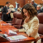 La presidenta de la Comunidad de Madrid, Isabel Díaz Ayuso, durante una sesión plenaria en la Asamblea de Madrid