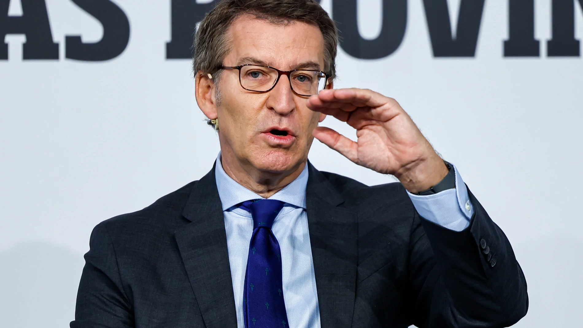El líder del PP, Alberto Núñez Feijóo,