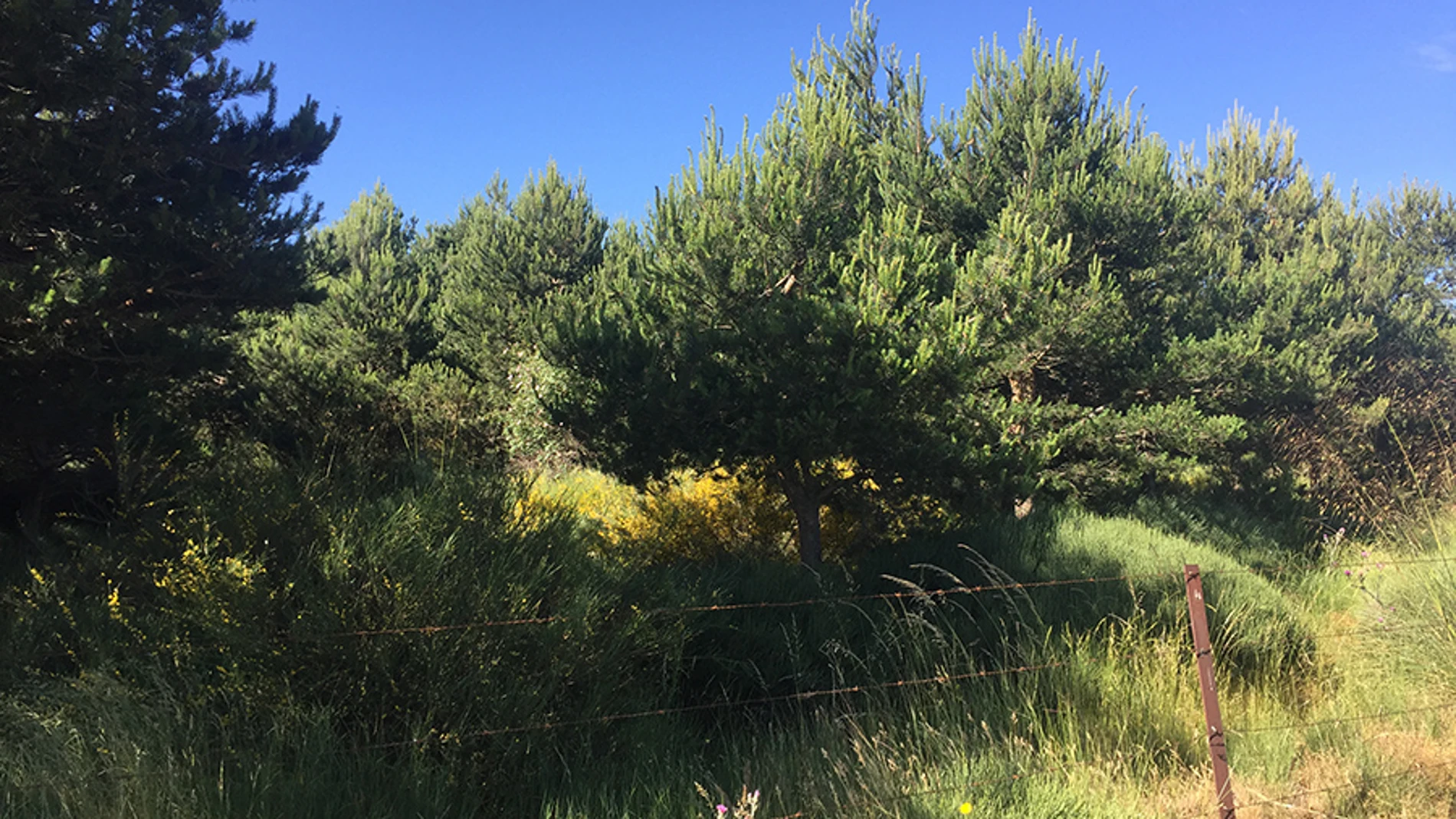 Nuevo estudio medioambiental de la Universidad Católica de Ávila