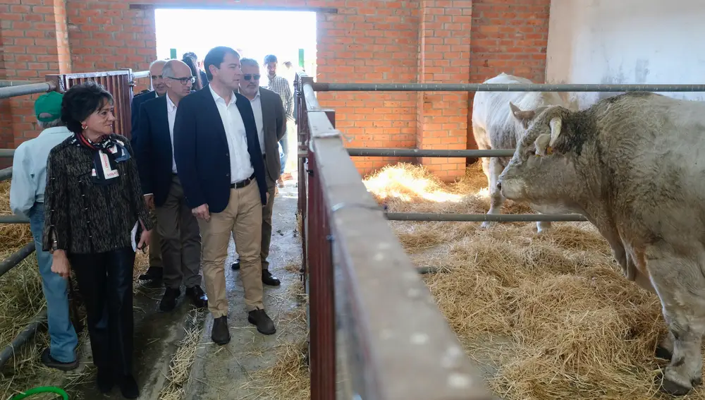 El presidente de la Junta de Castilla y León, Alfonso Fernández Mañueco, participa en el acto institucional de inauguración de la Feria de Ganado de la I Semana Internacional de la Carne