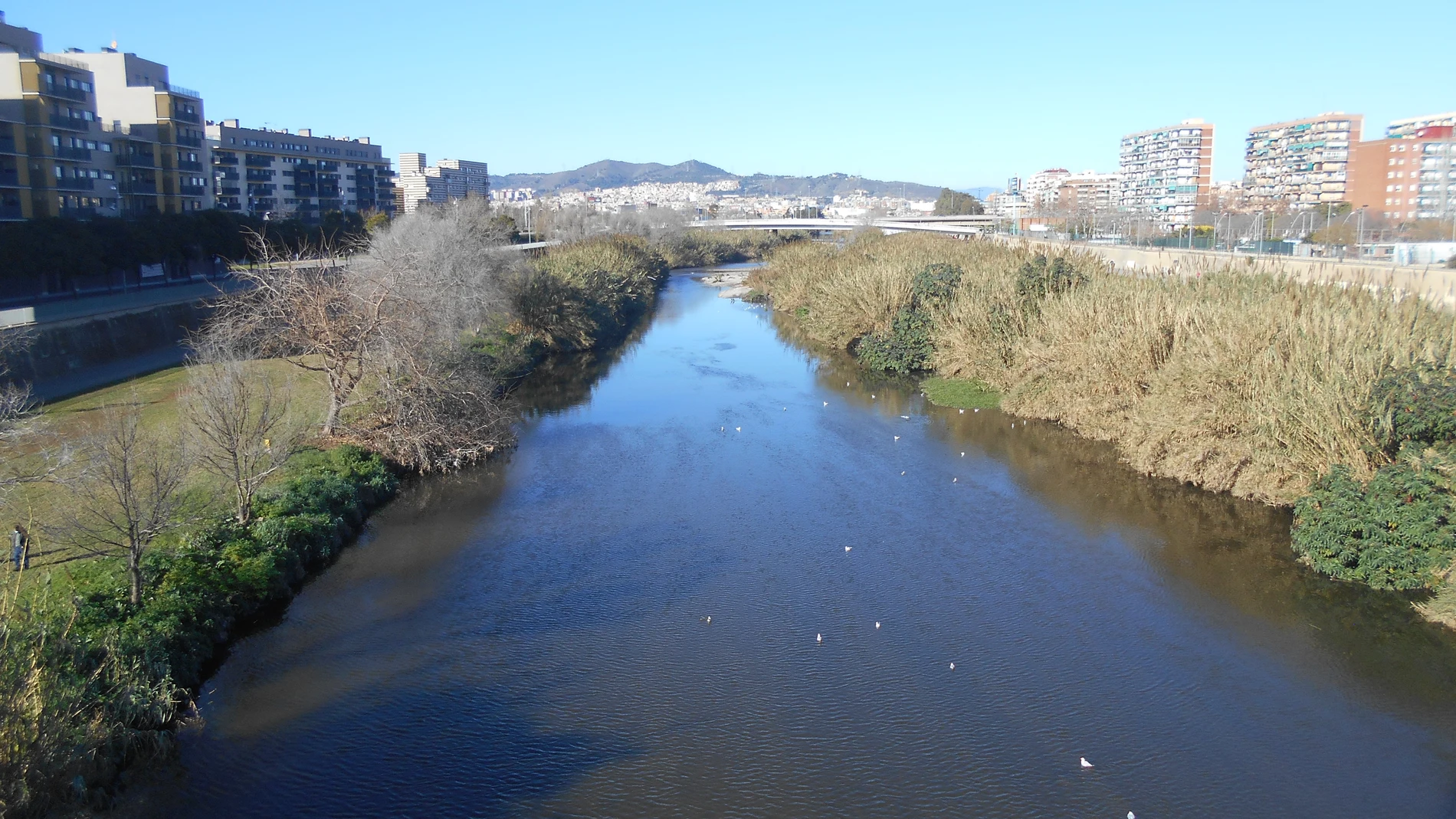 Parque fluvial del Besòs en Barcelona