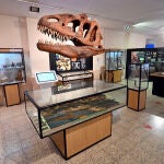 Museo de los Dinosaurios de Salas de los Infantes