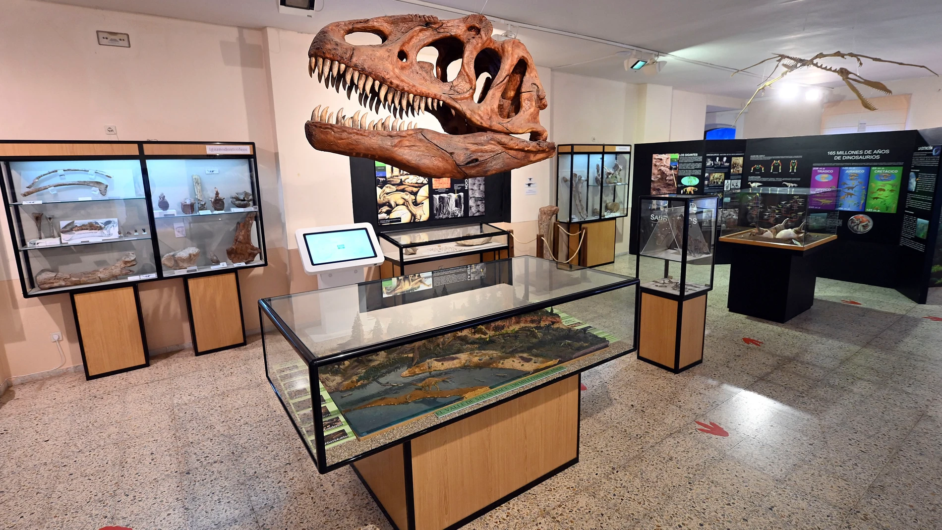 Museo de los Dinosaurios de Salas de los Infantes
