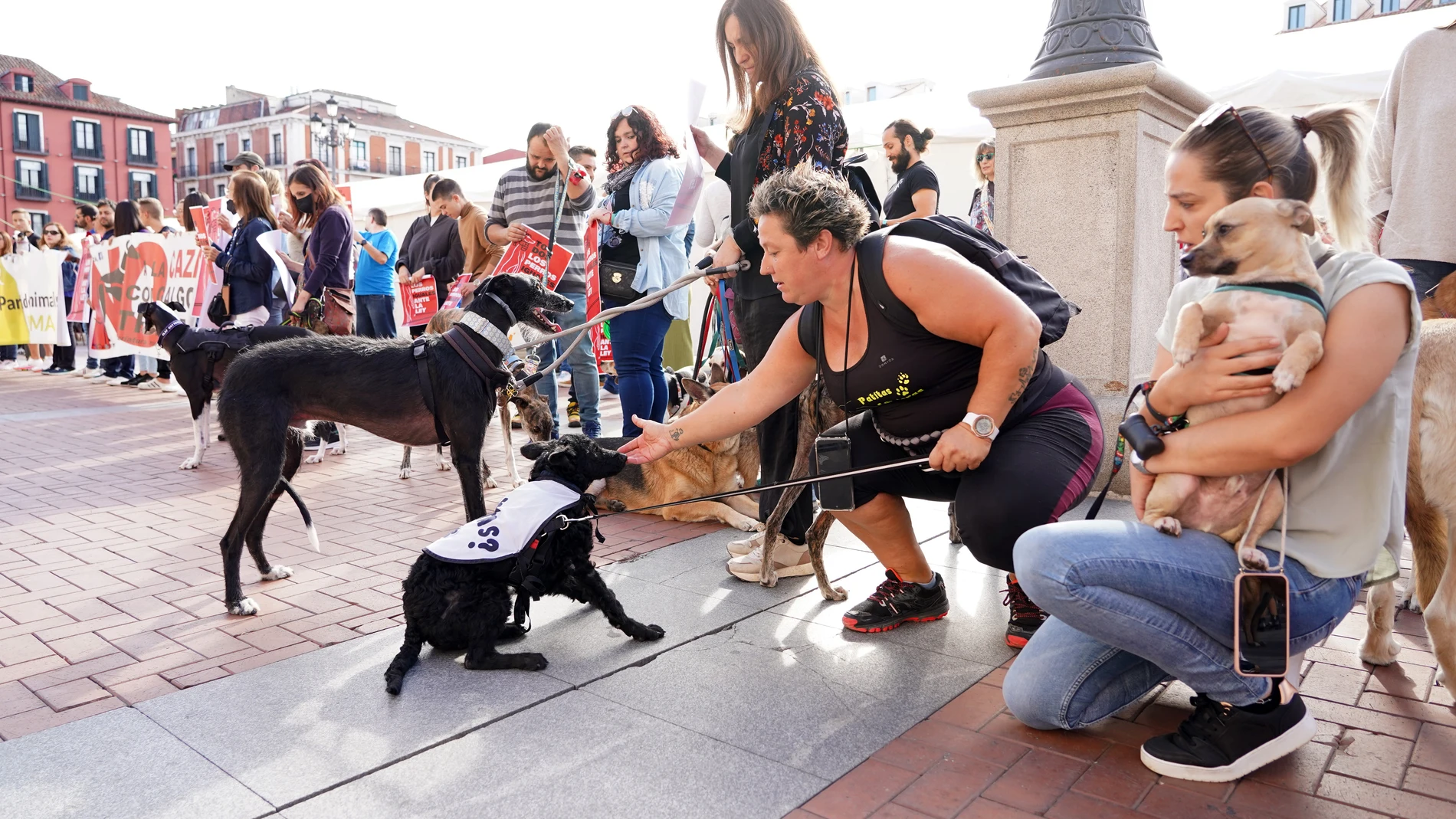 Concentración contra la exclusión de los perros de caza de la Ley de Protección Animal