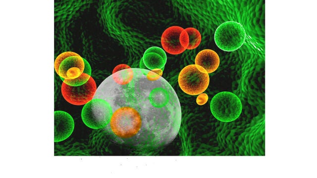 A pesar de todos los avances, la media de supervivencia en cáncer de mama metastásico es de dos a cinco años