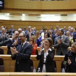 El presidente del PP, Alberto Núñez Feijóo, aplaudido ayer por los populares en el Senado