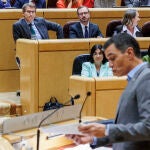 Sánchez interviene en el Senado ante la atenta mirada de Feijóo
