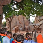 BIOPARC abre la inscripción para la Edición de Navidad de su escuela de vacaciones “Expedición África"