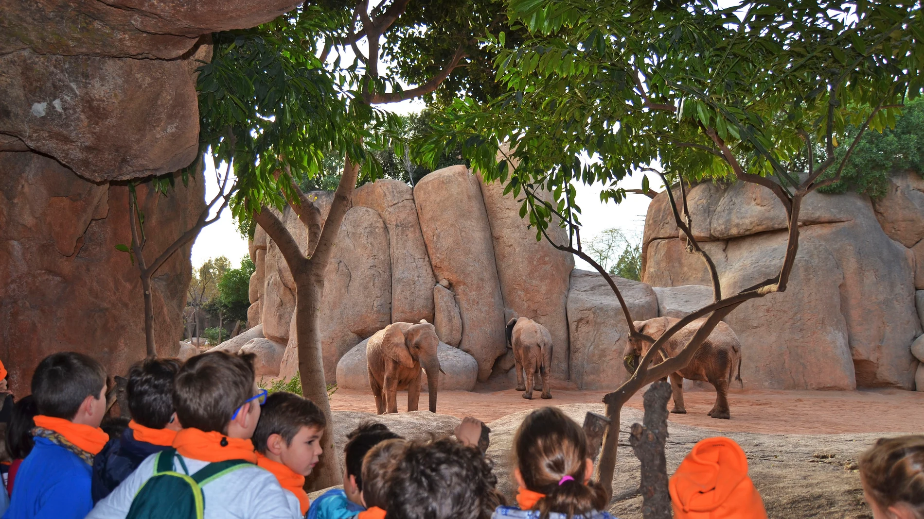 BIOPARC abre la inscripción para la Edición de Navidad de su escuela de vacaciones “Expedición África"