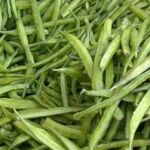 Goma guar