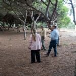 Curtido en La Forestal en Rota