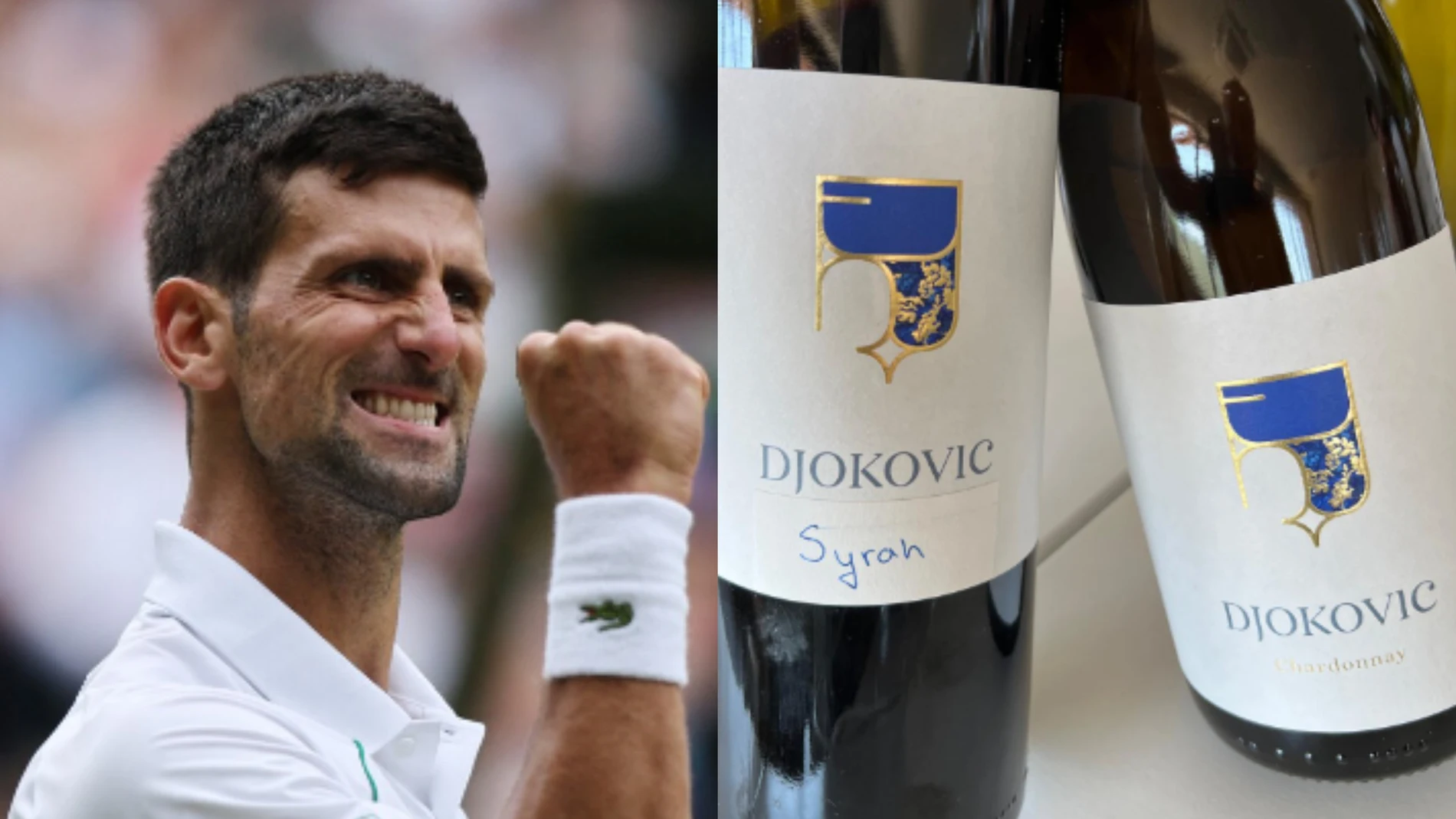 El vino de Djokovic sale al mercado