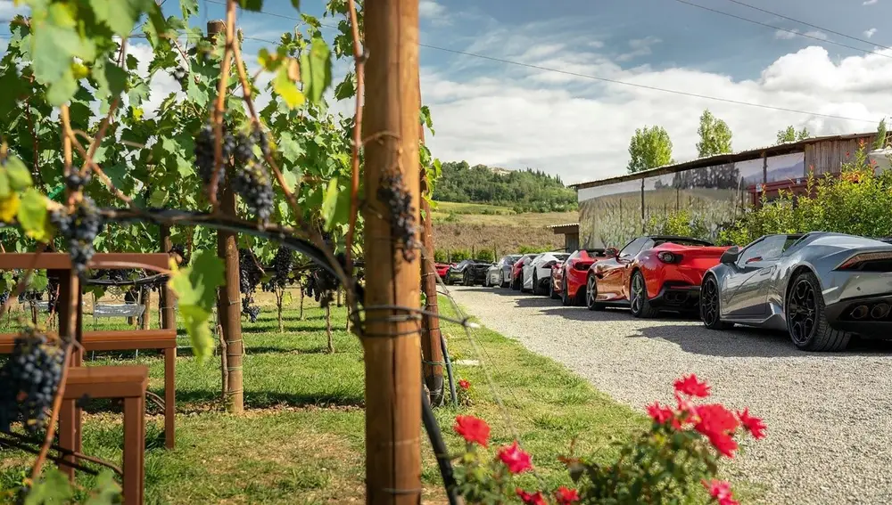 Una experiencia única e inolvidable