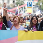Manifestación celebrada el pasado día 22 en Madrid, convocada por la Federación Plataforma Trans, a favor de la Ley Trans y para exigir su tramitación.
