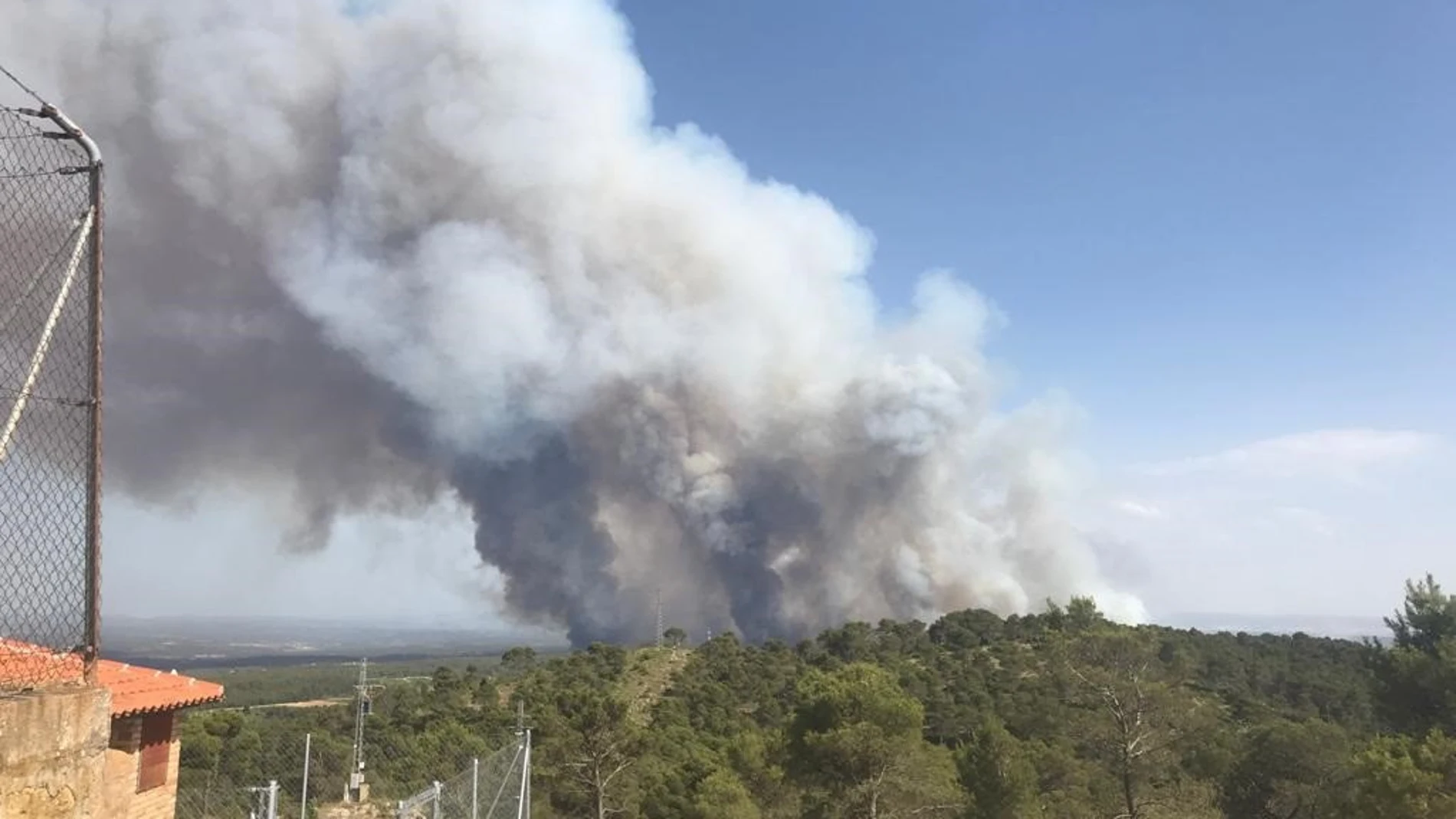 Cambio climático.- La UPV coordina el mayor proyecto de investigación europeo para mejorar la gestión forestal sostenible
