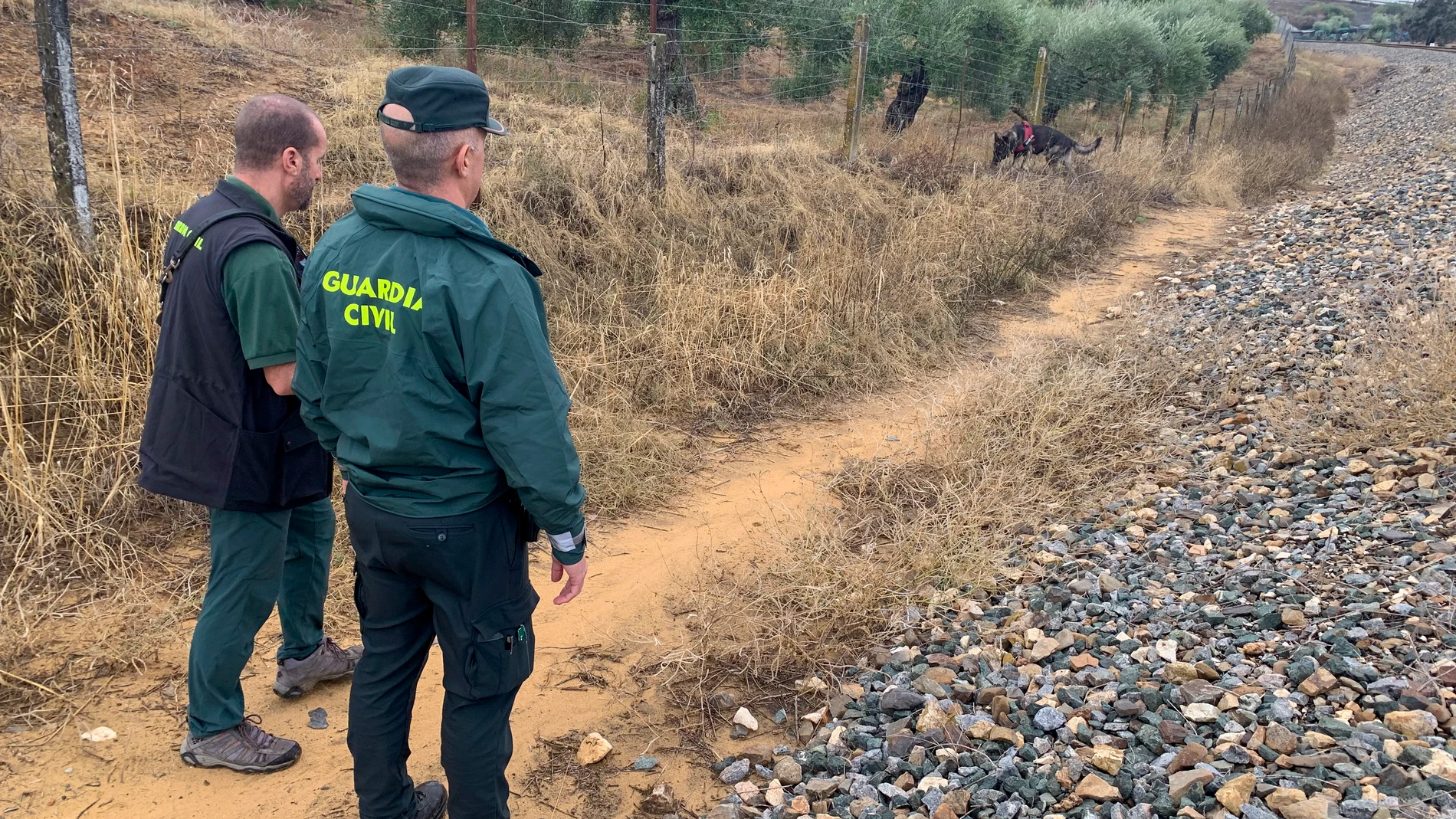 Dos agentes de la Guardia Civil ayudados por un perro especializado rastrean la zona cercana a la vía del tren en Villanueva del Río y Minas (Sevilla). EFE/Fermín Cabanillas