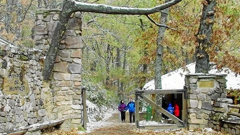 Visitantes en el Hayedo de Montejo, declarado Patrimonio Natural de la Humanidad
