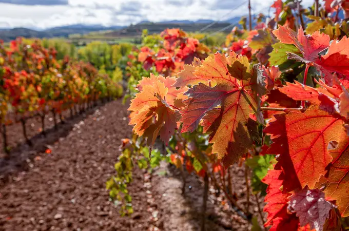 Setas, volcanes y viñedos: los mejores lugares para viajar este otoño en España
