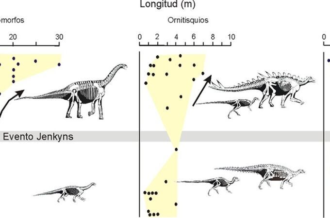Figura que ilustra las variaciones de temperatura a lo largo del Jurásico inferior y medio y el cambio de tamaño entre las formas herbívoras y carnívoras de dinosaurios previamente y posteriormente al Evento Jenkyns. UJA