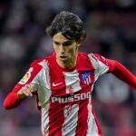 Joao Félix con el Atlético de Madrid.