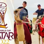 Advierten a los aficionados del Mundial del riesgo de acercarse a los camellos