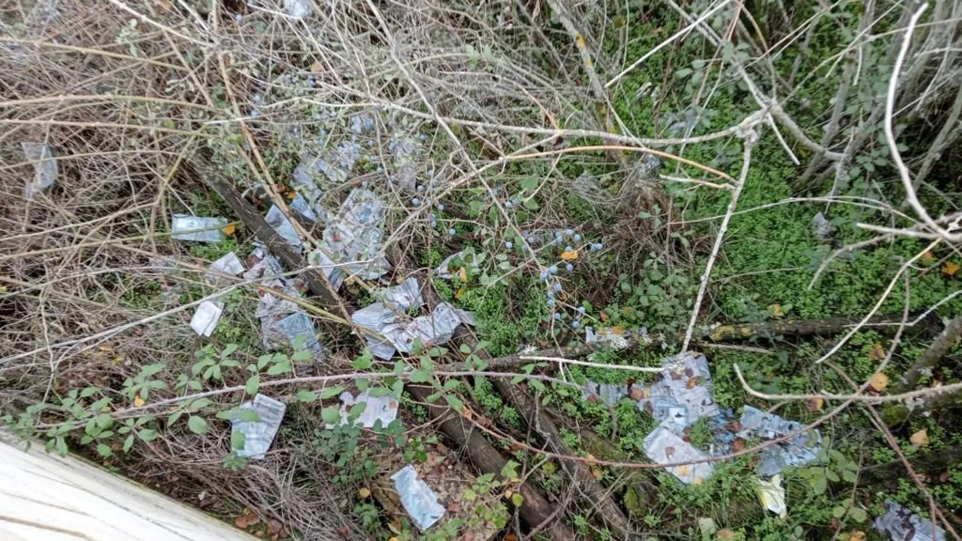 Cartas recuperadas en León