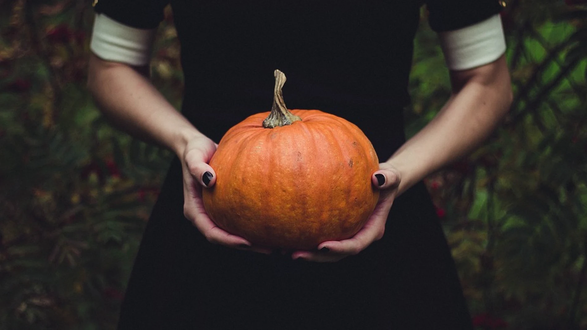 La variedad Etample es la más utilizada para adornar la calabaza de Halloween | Fuente: Pexels