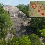 Las ruinas mayas subterráneas descubiertas dentro de una jungla en Campeche (México) son similares a las que figuran en la foto