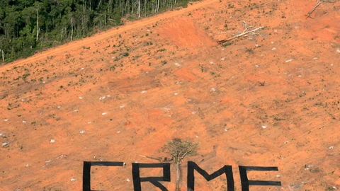 Según WWF, en una década, 43 millones de hectáreas (dos veces el Reino Unido) se han perdido por la deforestación. Las tasas más rápidas ocurren en el Amazonas brasileño