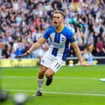 Leandro Trossard con el Brighton.