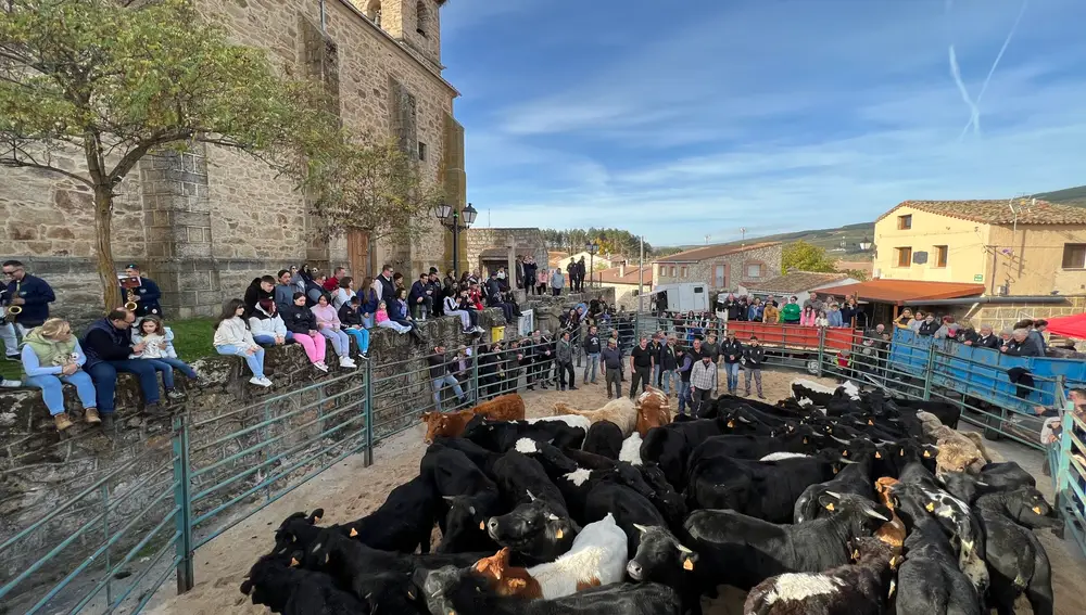 IX feria del Herradero Tradicional en San Martín de la Vega del Alberche