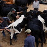 IX feria del Herradero Tradicional en San Martín de la Vega del Alberche