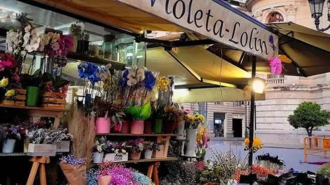 La Violeta-Lolín, la floristería más antigua de Valencia