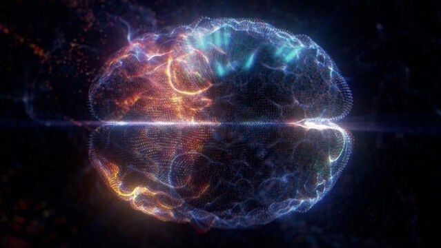 Cerebro