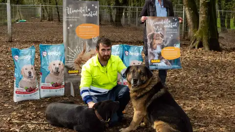 Campaña de Gadis en favor de las protectoras de animales