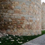 El desprendimiento de un merlón de la muralla de Ávila en la zona del paseo del Rastro, en el lienzo sureste del monumento, ha obligado este viernes a intervenir en la noche de este jueves a los efectivos del Cuerpo de Bomberos y de la Policía Local