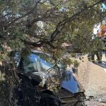 Impacto de un coche contra un árbol en un accidente de carretera en Campo Real
