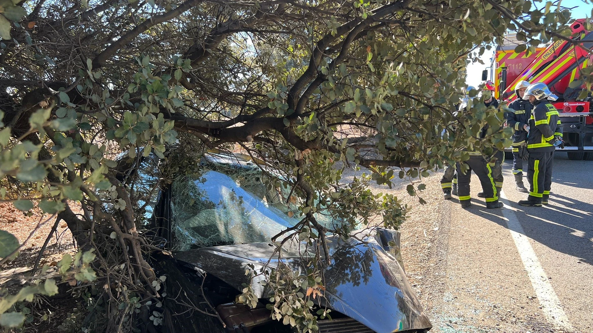 Impacto de un coche contra un árbol en un accidente de carretera en Campo Real