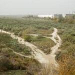 Cañada Real de Madrid