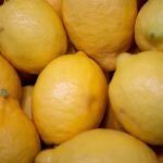 Limones de producción nacional