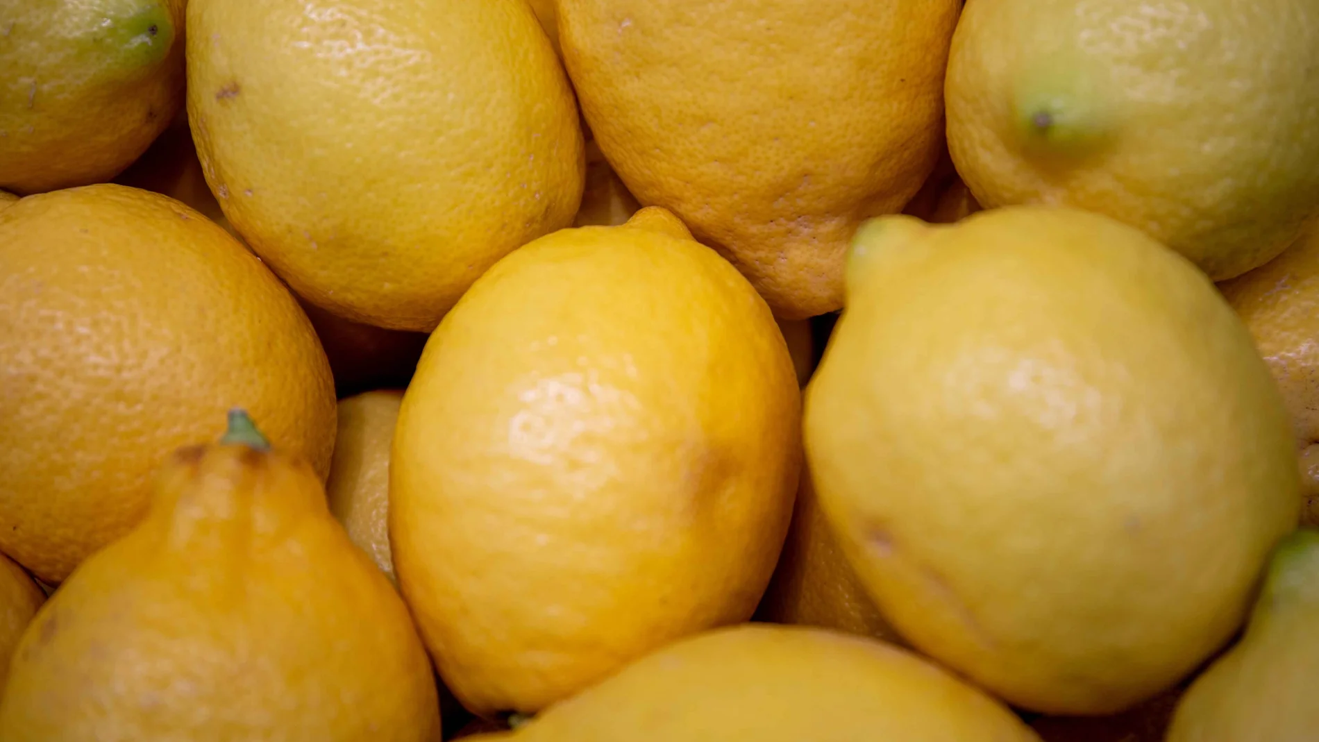 Limones de producción nacional