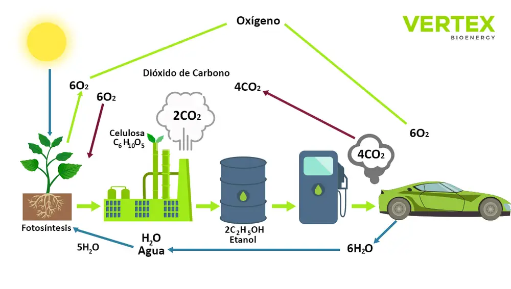 Vertex Bioenergy.