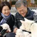 El expresidente surcoreano Moon Jae In y los perros obsequiados en su día por Kim Jong Un
