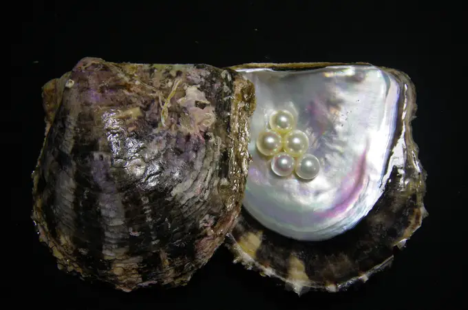 El secreto de la belleza de las perlas podría encontrarse en los genes de las ostras