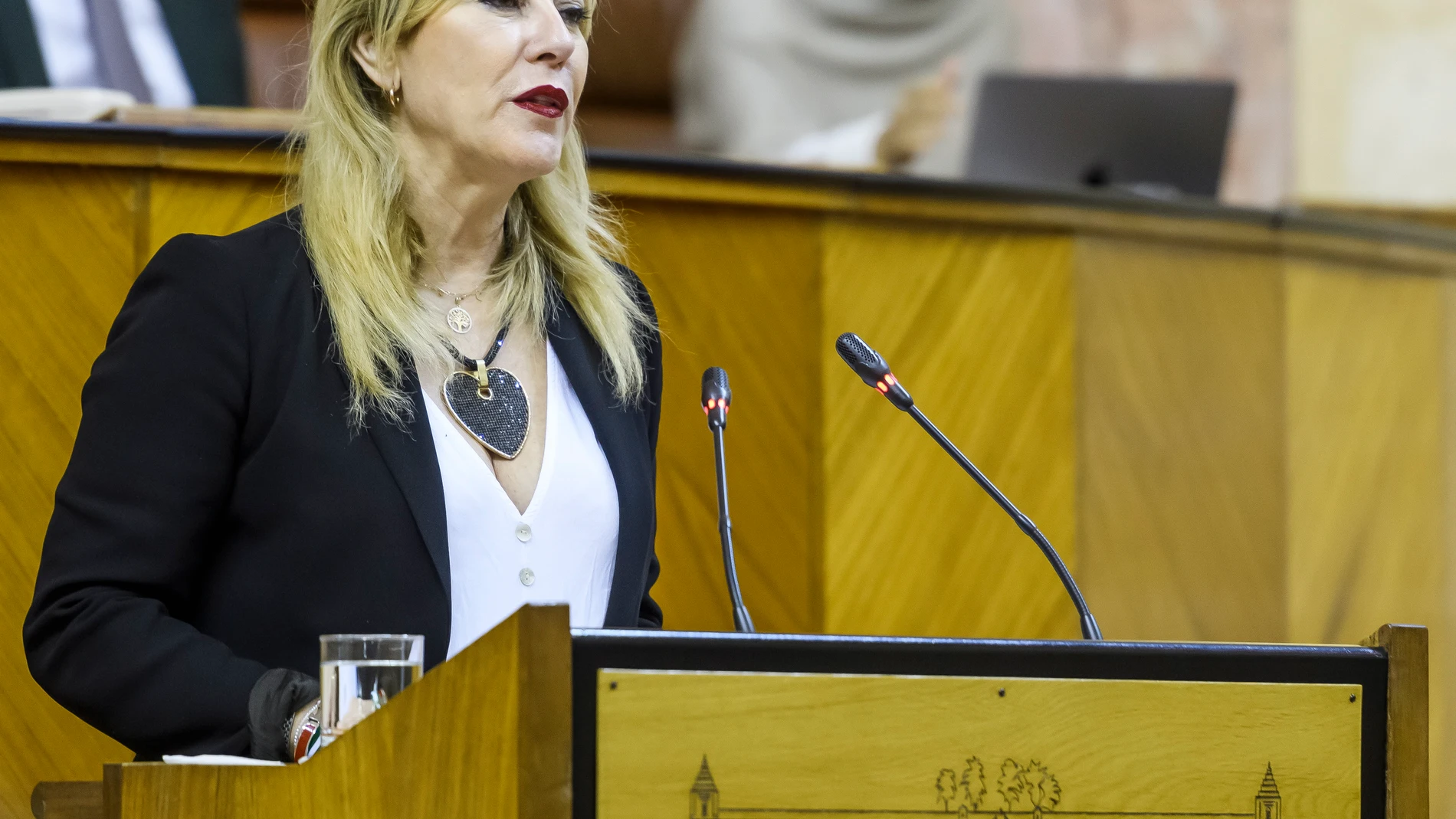 La consejera de Economía, Hacienda y Fondos Europeos, Carolina España, durante en el Pleno del Parlamento de Andalucía en Sevilla