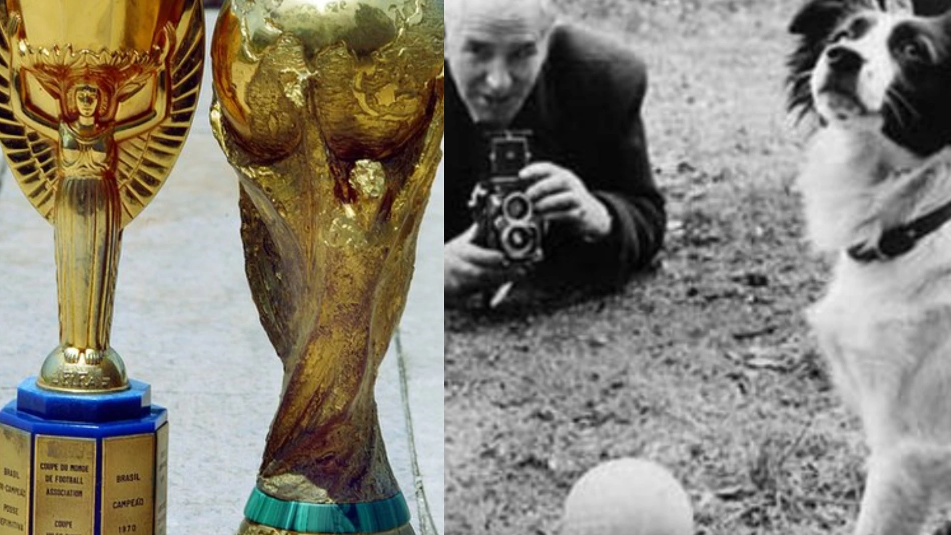 La increíble historia de la Copa del Mundo: un perro, un ladrón