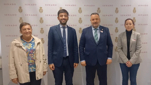 El presidente de la Diputación de León, Eduardo Morán, comparece en el Senado
